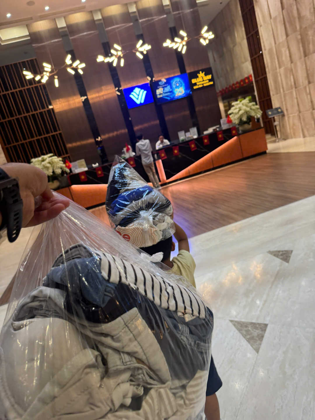 Understanding the practical advantages of professional wetcleaning care