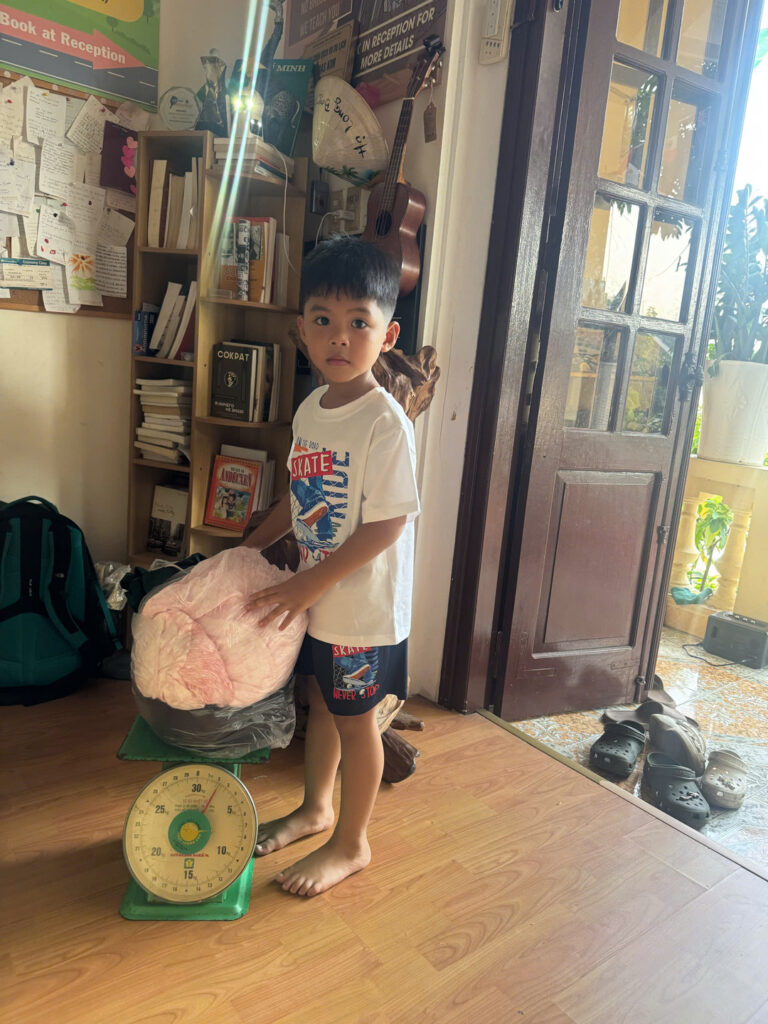 Premium laundry services for travelers at Halong Laundry